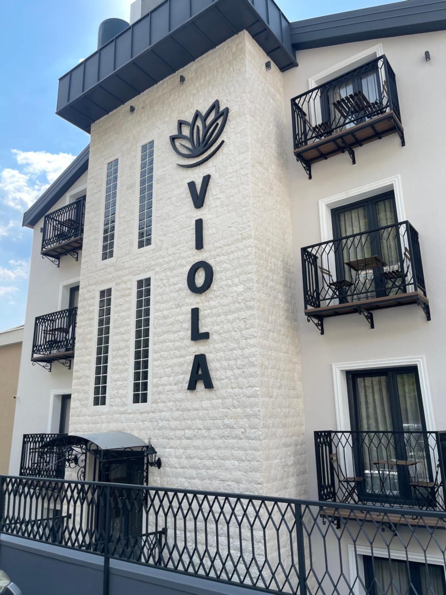 Viola Otel 4*